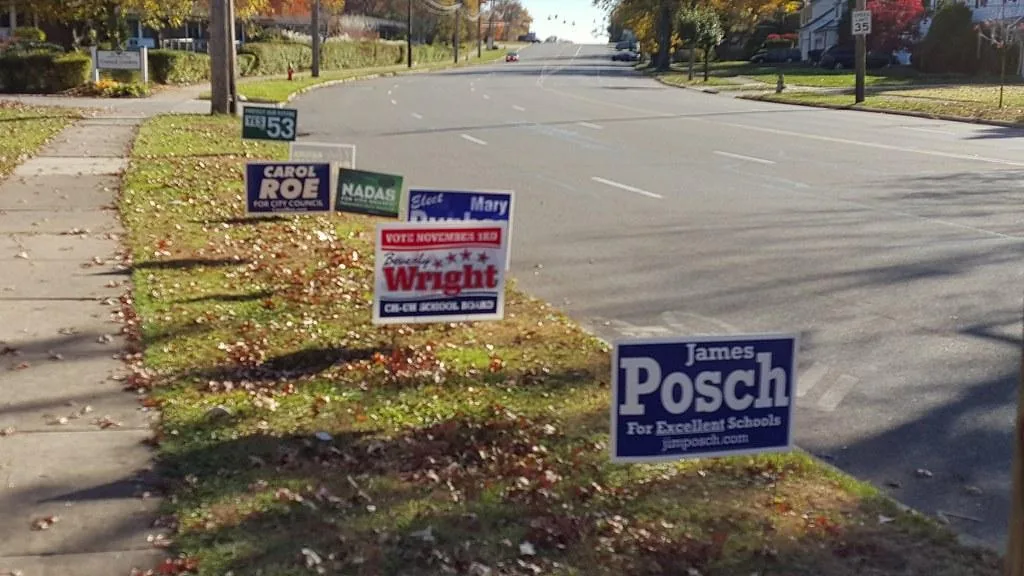 A cluster of political yard signs lines a public right-of-way before election day.